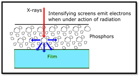 Intensification action of Fluorescent Screens 