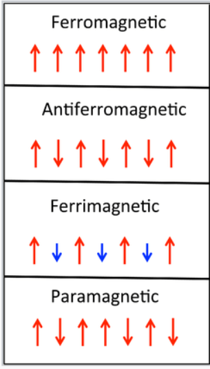 Magnetic spin domain