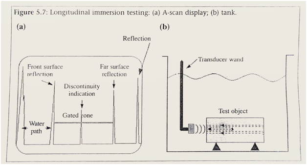 longitudinal immersion testing